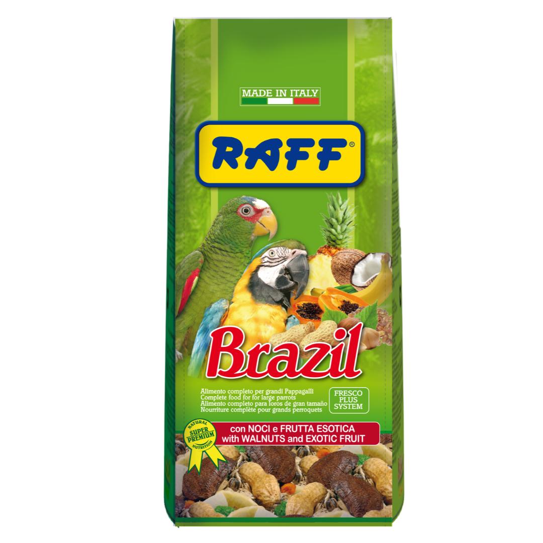 WALNUT FRUIT PARROT FOOD
