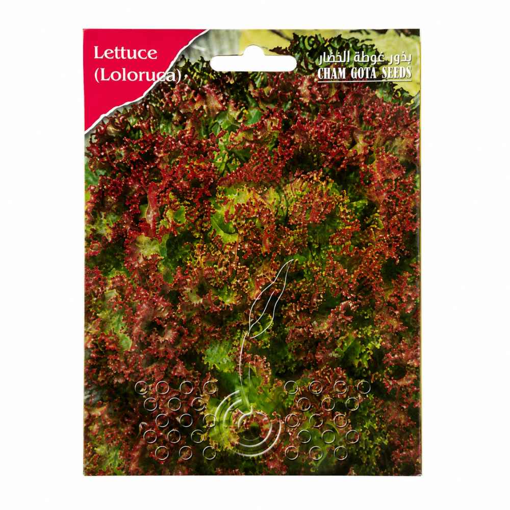 LETTUCE SEEDS